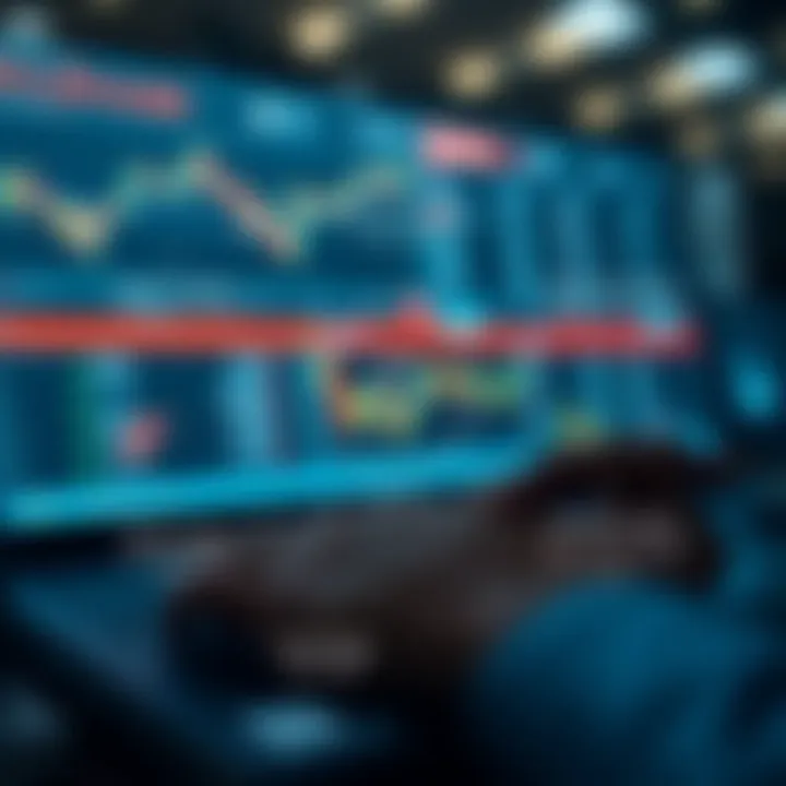 Guia Completo da Quaotex: Plataforma e Funcionalidades